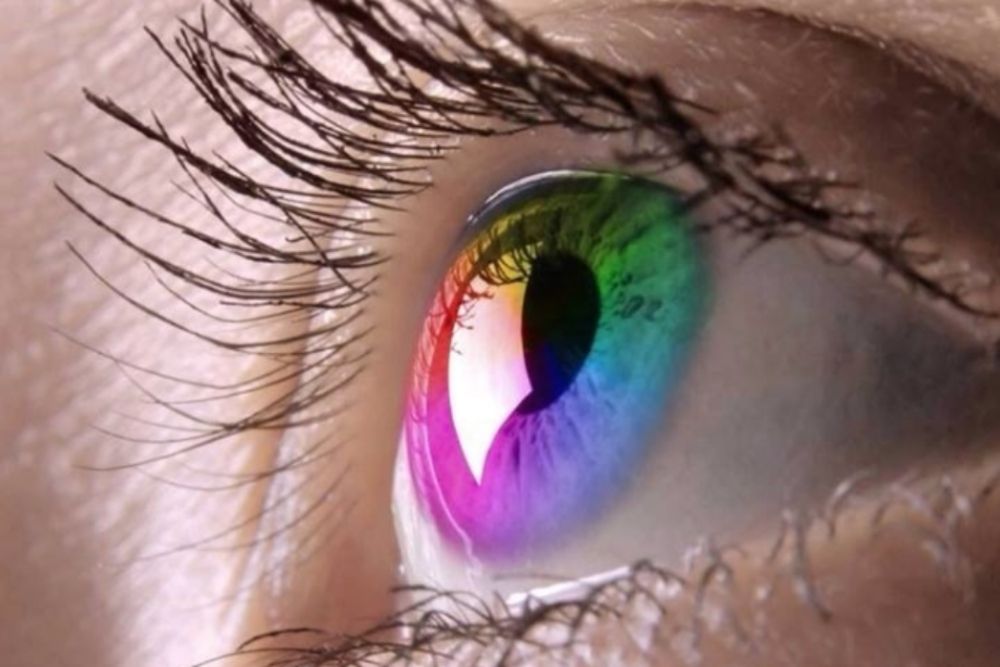 What Colors Can The Human Eye See