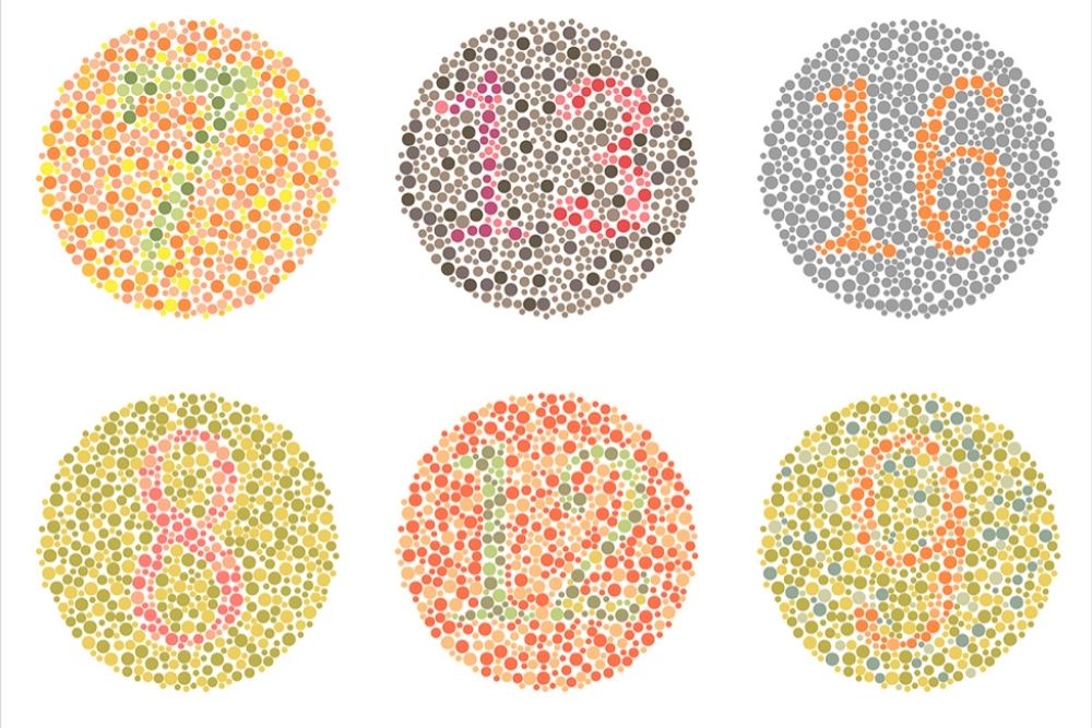 how-the-human-eye-see-colors-eye-science-the-eye-news