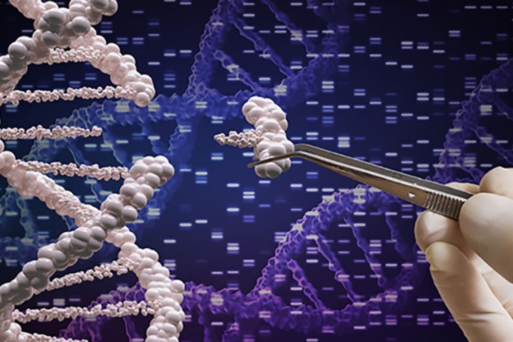 Role of Crispr in Eye Care DNA Editing 1